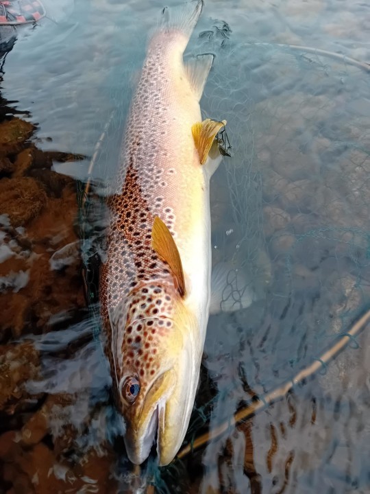 Middle Usk - SJ from Herefordshire
